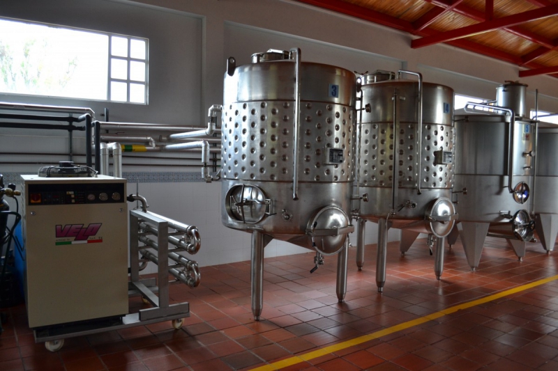 cave-MASSOINS-min_wine_production_cantine_winery_drink_alcohol_vine_beverage-902036